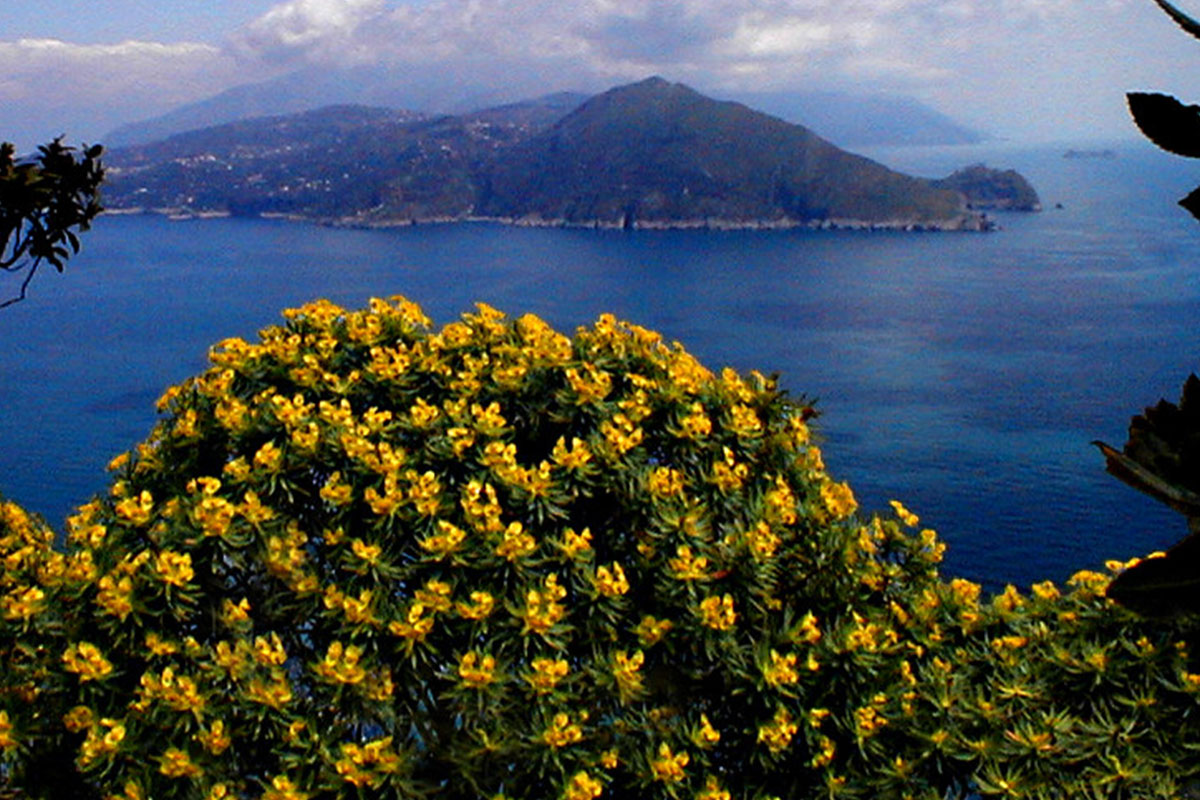Rotolando-verso-Sud