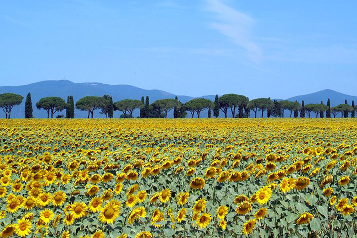 Toscana-Autentica